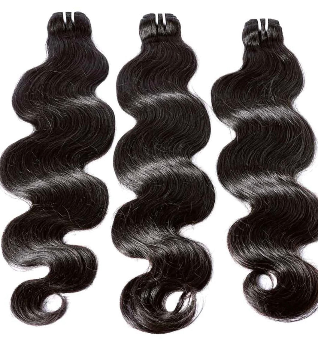 Virgin Burmese Bundle Deals