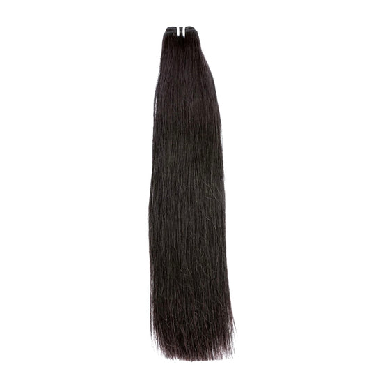 Virgin Burmese Straight