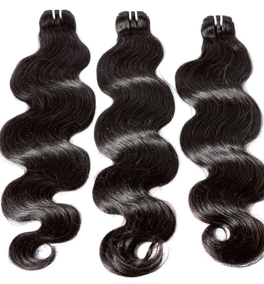 Virgin Burmese Bundle Deals